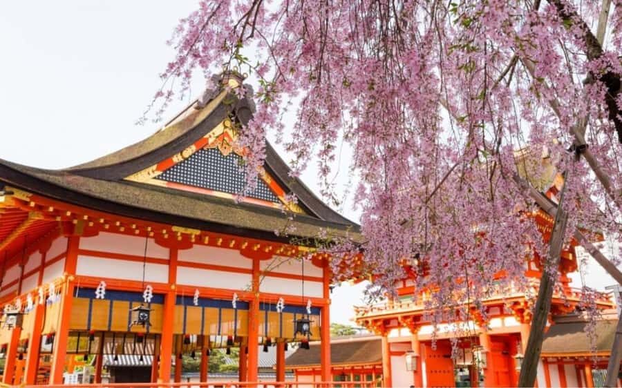 From Osaka: Kyoto, Nara/Uji Historic Cities Day Trip (Max 9) - Transportation and Group Dynamics