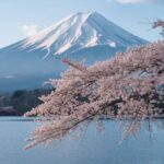 From Osaka: Mount Fuji Private Scenic Tour with Hotel Pickup - Who Should Consider This Tour?