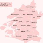 From Osaka: Nara Private Customizable Day Tour - The Comfort and Convenience of Private Transportation