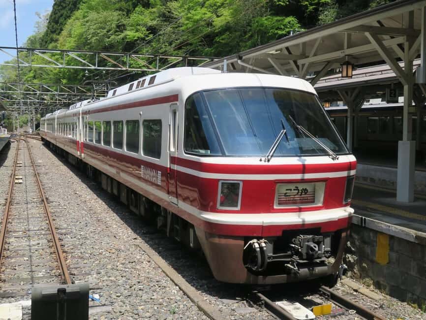 From Osaka: Private Guided Day Trip to Koyasan (UNESCO Site) - Good To Know