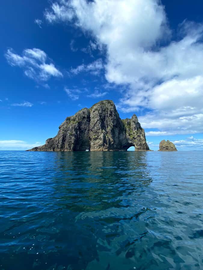 From Paihia: Hole in the Rock Cruise & Island Tour: 3 Hour - Why This Tour Works for Different Travelers  