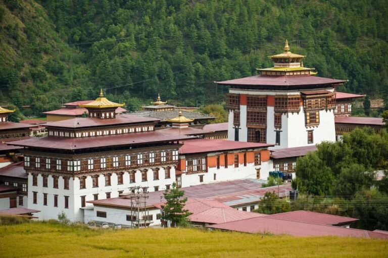 From Paro/Thimpu :- National Museum, Dzong, and Temple Tour - Who Is This Tour Best For?