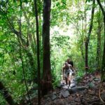 From Pattaya: Rayong Adventure Hike and Kayak Day Trip - Who Will Love This Tour?