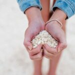 From Perth: Pinnacles Lobster Shack and Yanchep Day Trip - Yanchep: Wildflowers, Wildlife, and Lavender or Chocolate