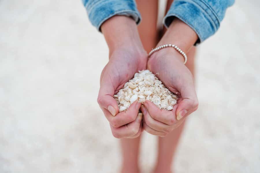 From Perth: Pinnacles Lobster Shack and Yanchep Day Trip - Yanchep: Wildflowers, Wildlife, and Lavender or Chocolate