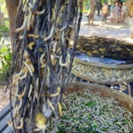 From Phnom Penh: Half-Day Silk Island Tour with Guide - The Detailed Journey: What to Expect and Why It Matters