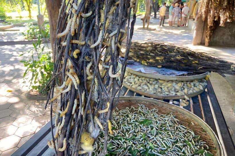 From Phnom Penh: Half-Day Silk Island Tour with Guide - The Detailed Journey: What to Expect and Why It Matters