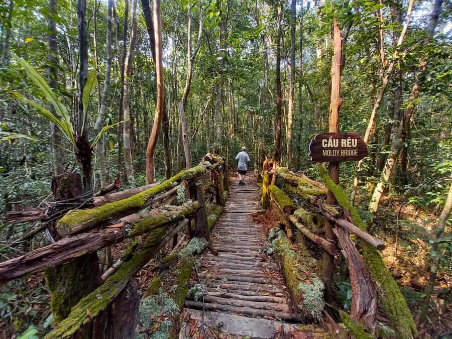 From Phu Quoc: Northern and Southern Full Day City Tour - Authentic Experiences and Insights from Travelers
