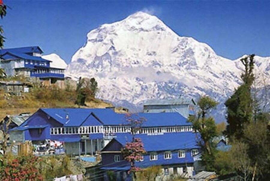 From Pokhara 7 Days (ABC) Trek With Poon Hill Sunrise - Final Thoughts: Who Is This Trek Perfect For?