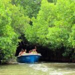 From Pondicherry: Private Day tour to Chidambaram ! - Exploring the Full Day: What to Expect