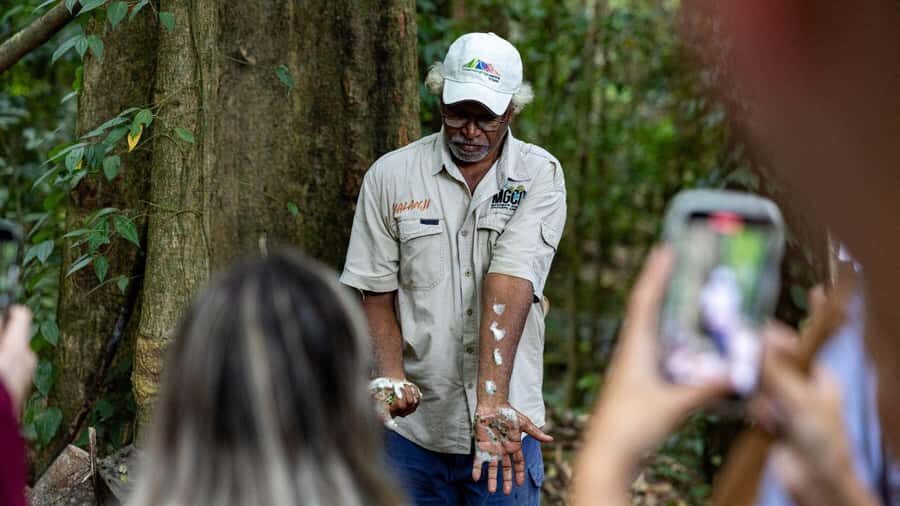 From Port Douglas: Daintree Rainforest & Mossman Gorge Tour - What Makes This Tour Stand Out?