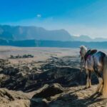 From Probolinggo: 2-Day Bromo & Ijen Tour w/ One-Night Stay - How the Itinerary Unfolds: A Close Look