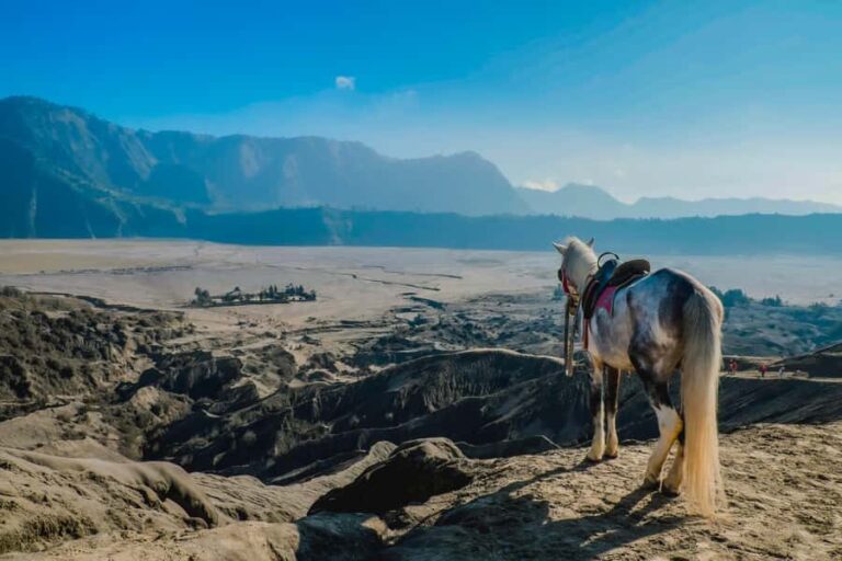 From Probolinggo: 2-Day Bromo & Ijen Tour w/ One-Night Stay - How the Itinerary Unfolds: A Close Look