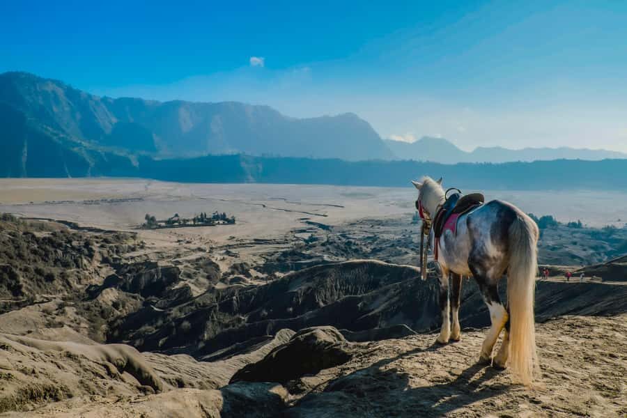 From Probolinggo: 2-Day Bromo & Ijen Tour w/ One-Night Stay - How the Itinerary Unfolds: A Close Look