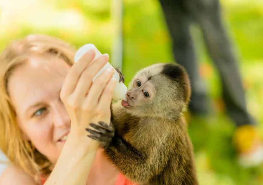 From Punta Cana: ATV and Buggy Excursion 4x4 with Water Cave - Why This Tour Is a Great Choice