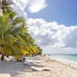 From Punta Cana: Catamaran Cruise to Saona Island with Lunch - An In-Depth Look at the Cruise Experience