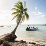 From Punta Cana: Catamaran Tour to Saona Island with Open Bar and Buffet - The Journey to Saona Island: What to Expect