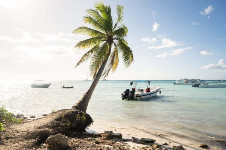 From Punta Cana: Catamaran Tour to Saona Island with Open Bar and Buffet - The Journey to Saona Island: What to Expect