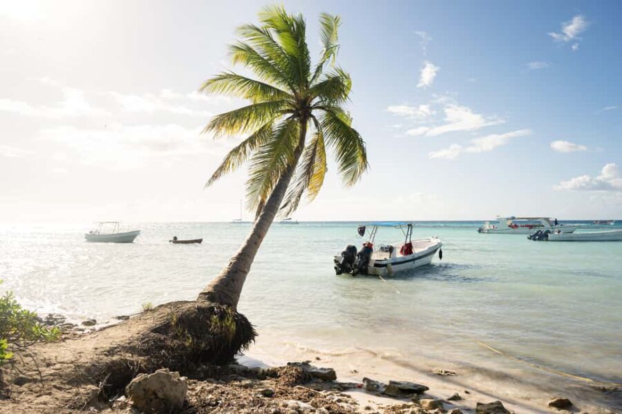 From Punta Cana: Catamaran Tour to Saona Island with Open Bar and Buffet - The Journey to Saona Island: What to Expect