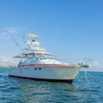 From Punta Cana: Deep Sea Fishing Tour by Boat with Drinks - What to Expect on the Water