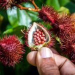 From Punta Cana: Full-Day Island Tour with Lunch - Authentic Experiences That Matter