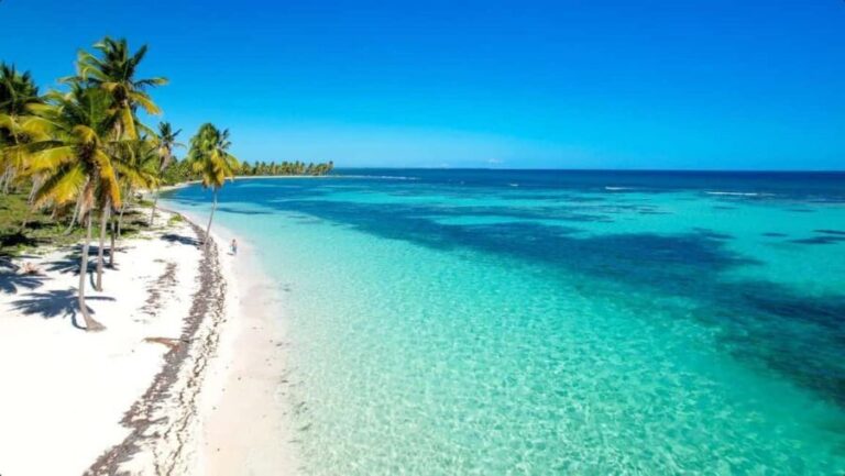 From Punta Cana: Isla Saona Trip with Lunch & Drinks - Practical Tips and Considerations