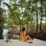 From Punta Cana: Los Haitises & Caño Hondo Private Boat Tour - Exploring the Itinerary in Detail