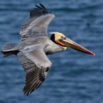 From Punta Cana: Los Haitises Trip with Montaña Redonda Tour - Practical Details & What You Need to Know