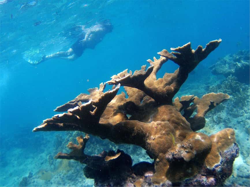 From Punta Cana: Private Catamaran Catalina Island Full-Day - Transport, Timing, and Group Size