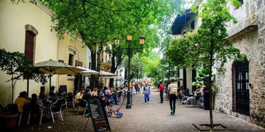 From Punta Cana: Santo Domingo Full-Day Tour with Lunch - Why This Tour Offers Great Value