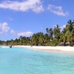 From Punta Cana: Saona Island Catamaran and Speedboat - The Itinerary Breakdown: What You Can Expect
