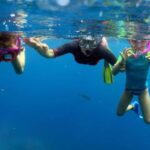 From Punta Cana: Small Group Catalina Island Snorkeling Tour - Why This Tour Stands Out