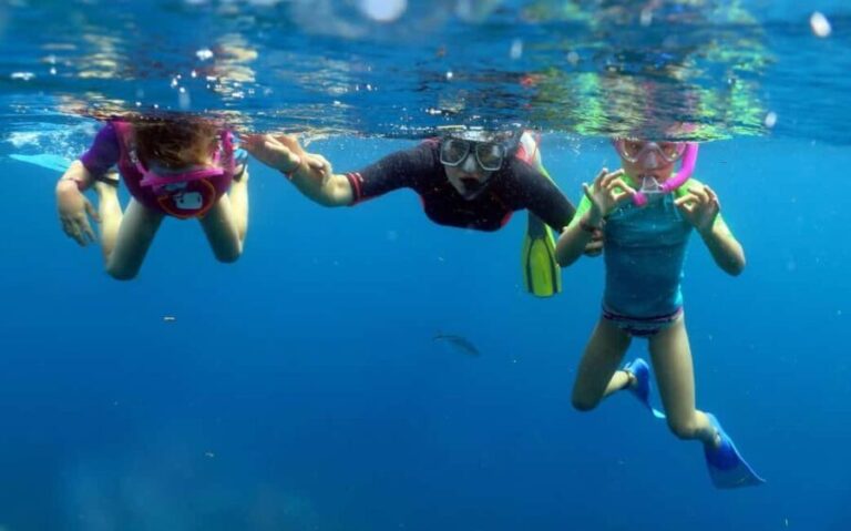 From Punta Cana: Small Group Catalina Island Snorkeling Tour - Why This Tour Stands Out
