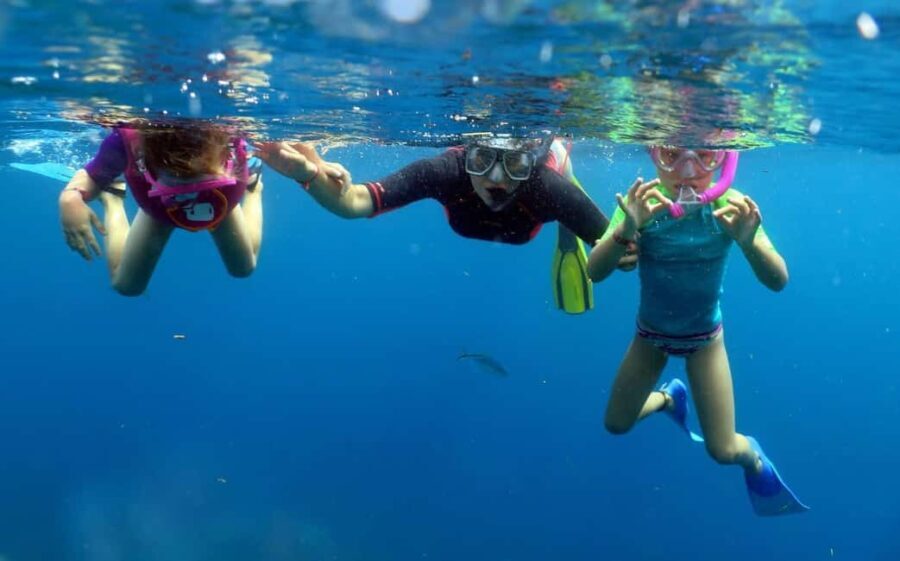 From Punta Cana: Small Group Catalina Island Snorkeling Tour - Why This Tour Stands Out