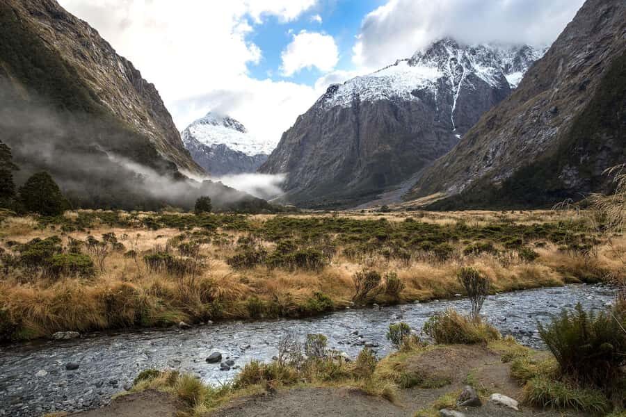 From Queenstown Milford Sound Cruise & Glass-Roof Coach Tour - Who Is This Tour Best For?