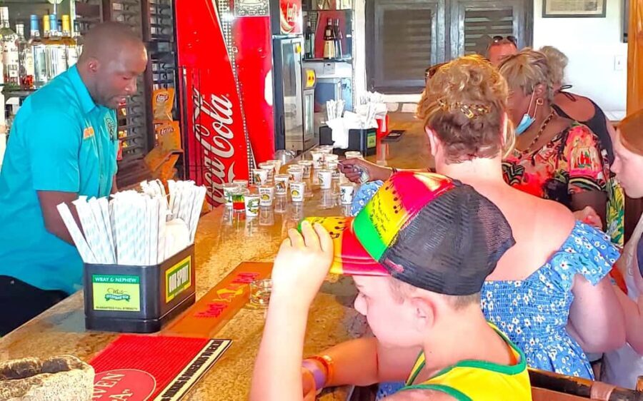 From Runaway Bay: Bob Marley Mausoleum Guided Day Trip - Practical Details