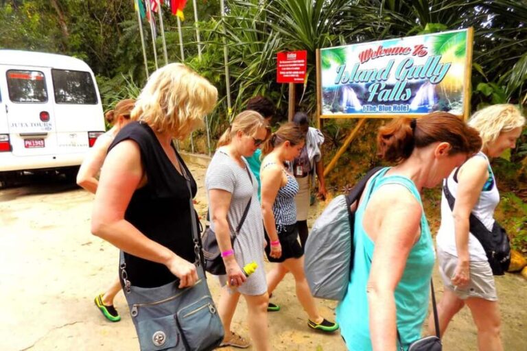From Runaway Bay: Island Gully Falls and Blue Hole Tour - What Makes This Tour Stand Out?