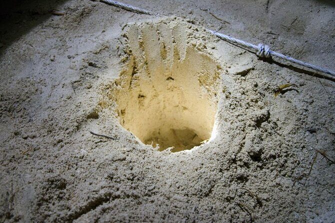 From Sandakan: 2D1N Turtle Island & Sepilok Wildlife Experience - Practical Tips for Booking & Enjoying the Tour