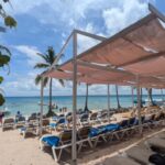 From Santo Domingo: Catalina Island Day Tour - Transportation and Group Dynamics