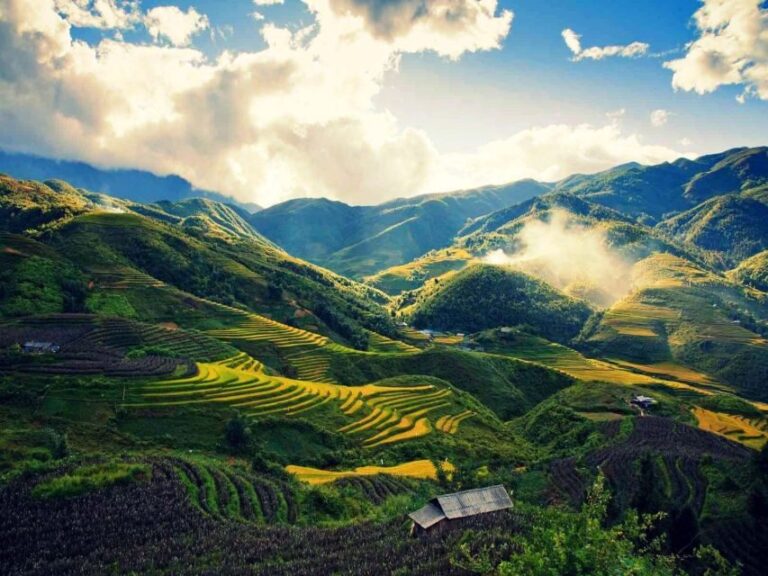 From Sapa : 1 Day Amazing Sapa Trek To Terrace rice field - Authentic Local Cuisine and Rest Stops