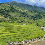 From Sapa: Half-day Guided Trek to Lao Chai & Ta Van with Lunch - What Makes This Tour Stand Out?