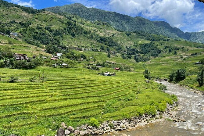 From Sapa: Half-day Guided Trek to Lao Chai & Ta Van with Lunch - What Makes This Tour Stand Out?