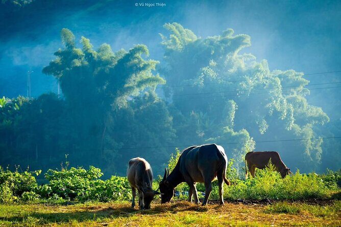 From Sapa: Trek through Stunning Rice Terraces, Ethnic Villages - Exploring the Itinerary in Detail