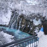 From Sapporo: Asahiyama Zoo, Waterfall & Blue Pond Tour - Final Thoughts