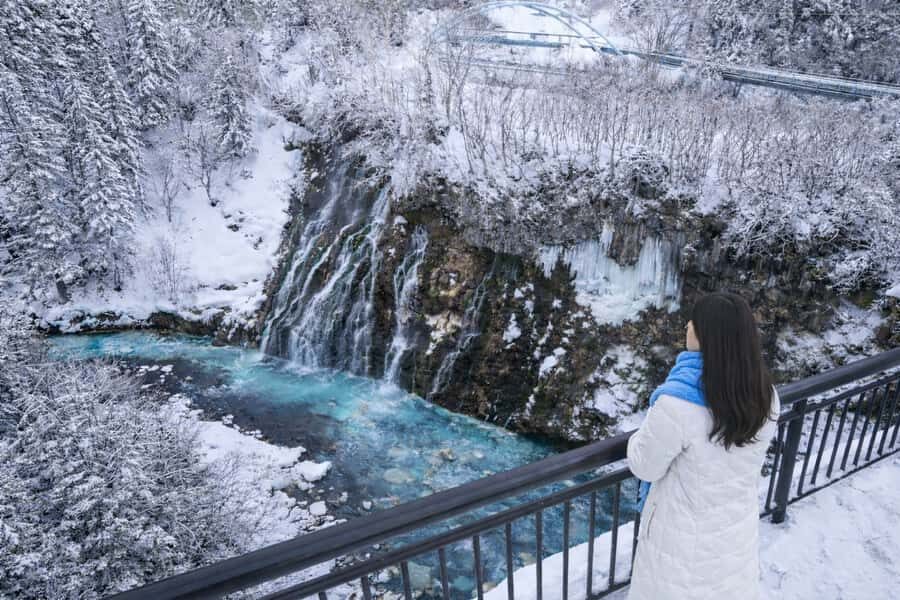 From Sapporo: Asahiyama Zoo, Waterfall & Blue Pond Tour - Final Thoughts