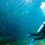 From Semporna: 3-Dive Leisure Underwater Diving Explorations - What Travelers Say