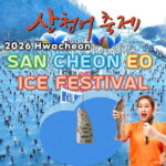 From Seoul: 2026 Hwacheon Sancheoneo Ice Festival Day Tour - Practical tips for travelers