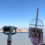 From Seoul: Aegibong Starbucks Observatory & DMZ View - The Transport & Guides