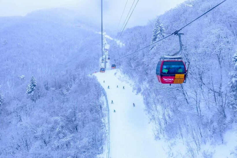From Seoul: Balwangsan Cable Car and Daegwallyeong Ranch - Who Would Love This Tour?