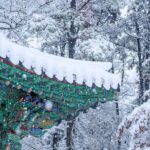 From Seoul: Day Trip to Danyang`s Nature and Top Attractions - What Sets This Tour Apart?